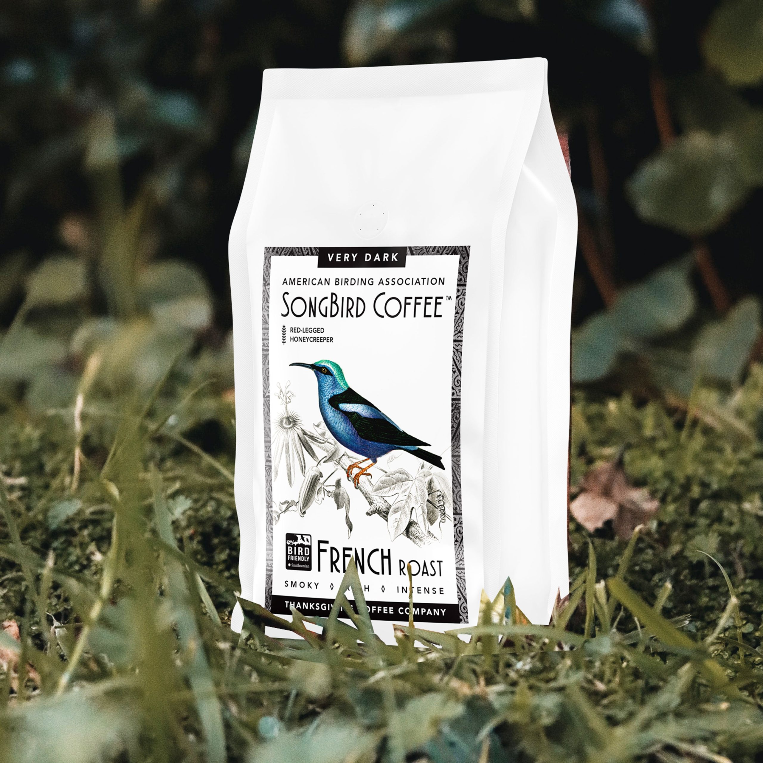 TCC_SongBird-French_Lifestyle.jpg