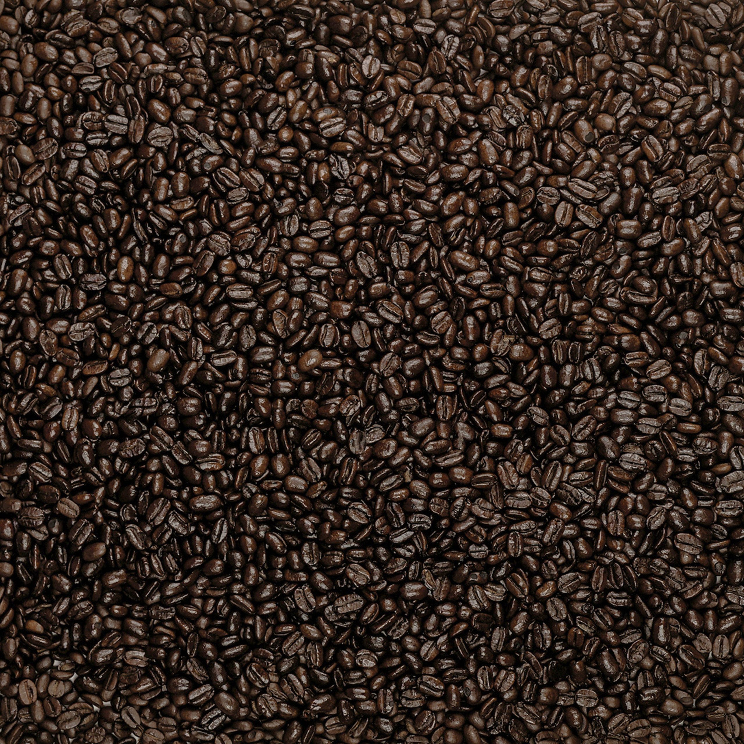 TCC_SongBird_Lifestyle-VDbeans.jpg