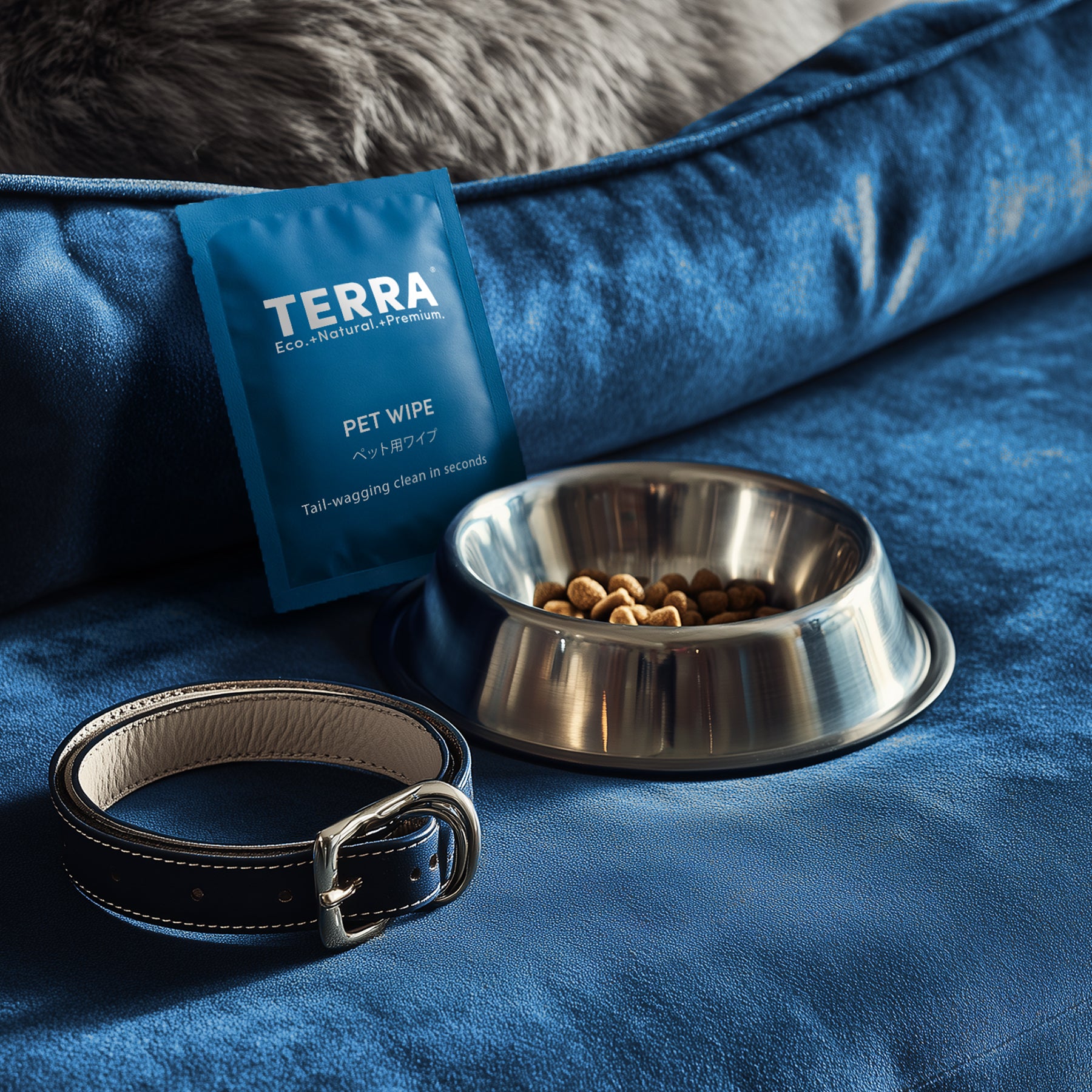 Terra_Pet_Wipes_30s_Lifestyle.jpg