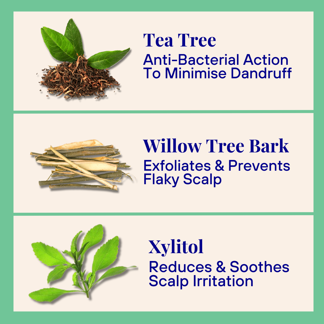ThePowderShampoo_ExfoliatingPowderShampoo_TeaTree_Material.png