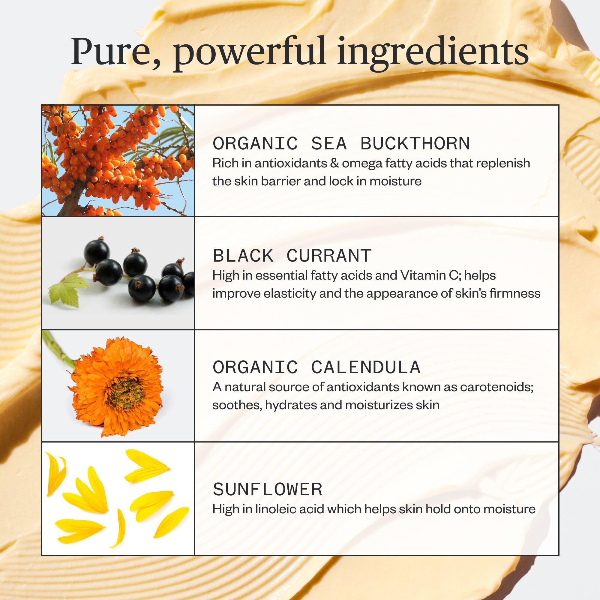 UrsaMajor_GoldenHourRecoveryCream_6.jpg