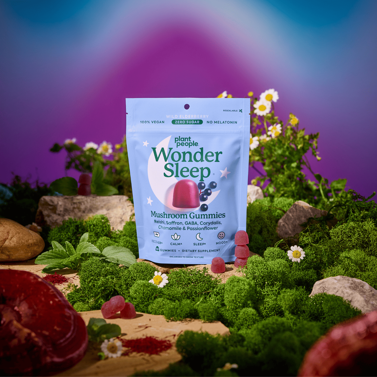 WonderSleep_LIFESTYLE.png