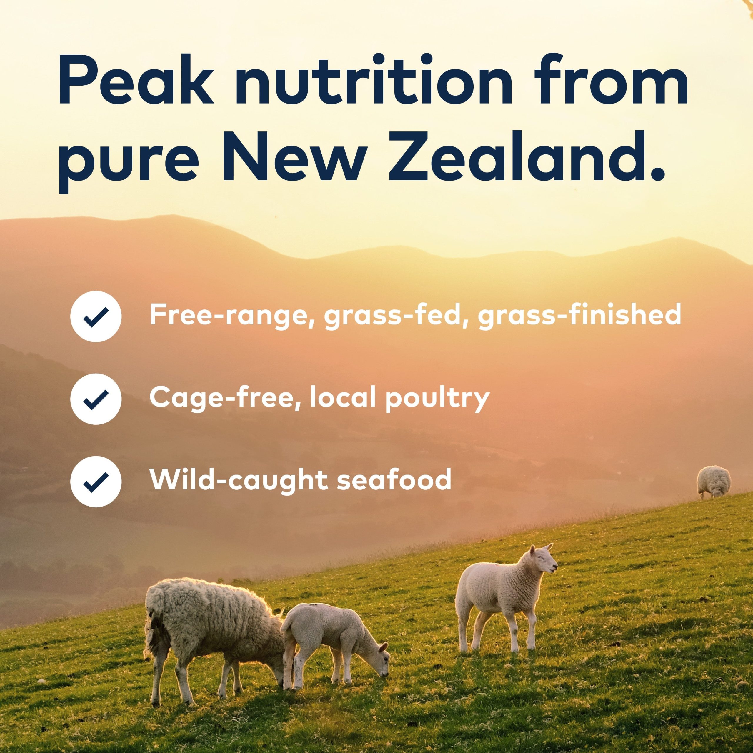 ZIWI_ZIWIPeakAir-DriedCatFood_Mackerel_Lamb_2.2lb_PT07.jpg