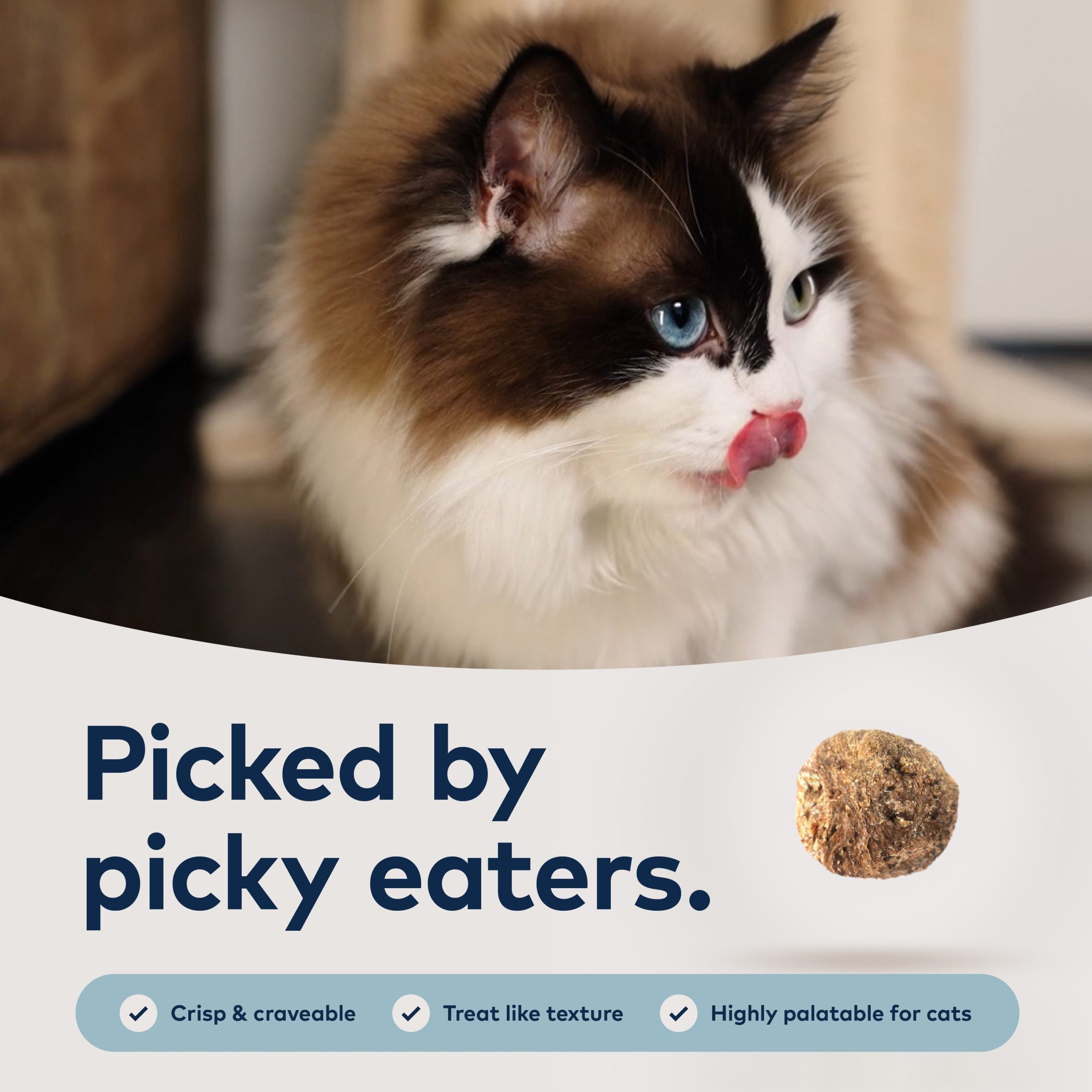 ZIWI_ZIWIPeakSteam_DriedCatFood_Chicken_1.8lb_PT01.jpg