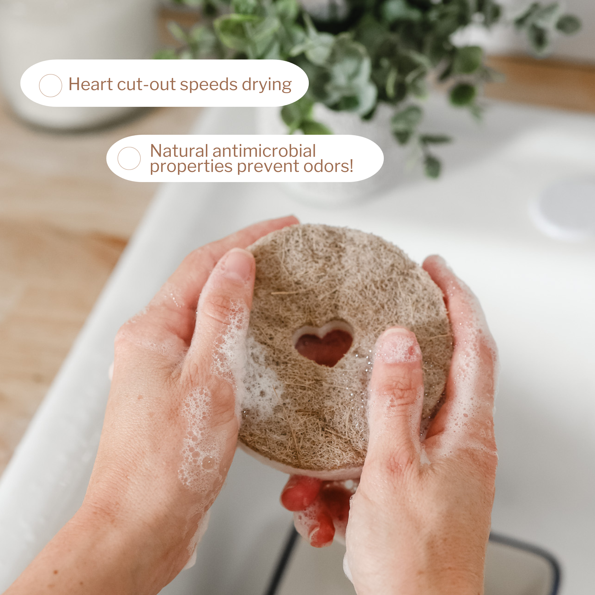 heartcut-outpromotesfastdryingweb_2512e225-ca8a-4b66-9392-b2bb1519d6b0.png
