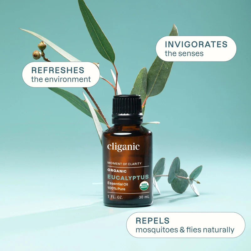 organic-eucalyptus-essential-oilessential-oil-singles-3205147.jpg