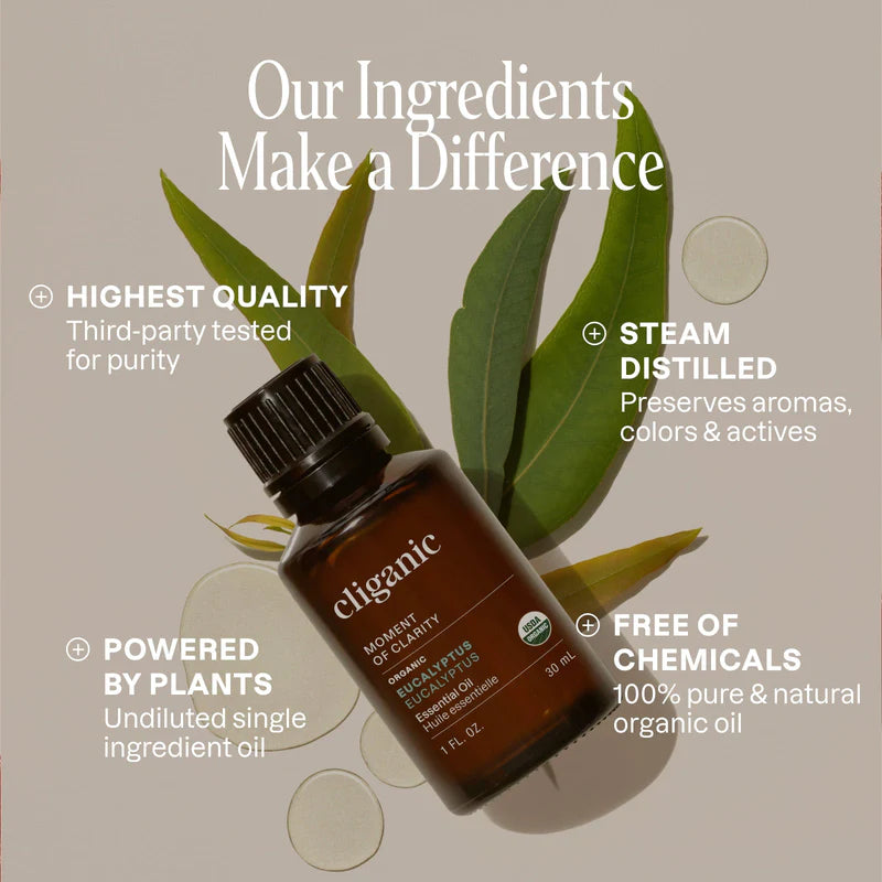 organic-eucalyptus-essential-oilessential-oil-singles-597787.jpg