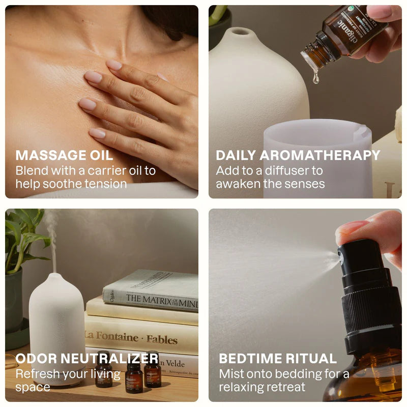 organic-frankincense-essential-oilessential-oil-singles-5412832.jpg