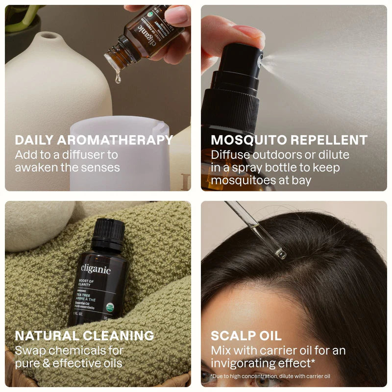 organic-tea-tree-essential-oilessential-oil-singles-6091973.jpg