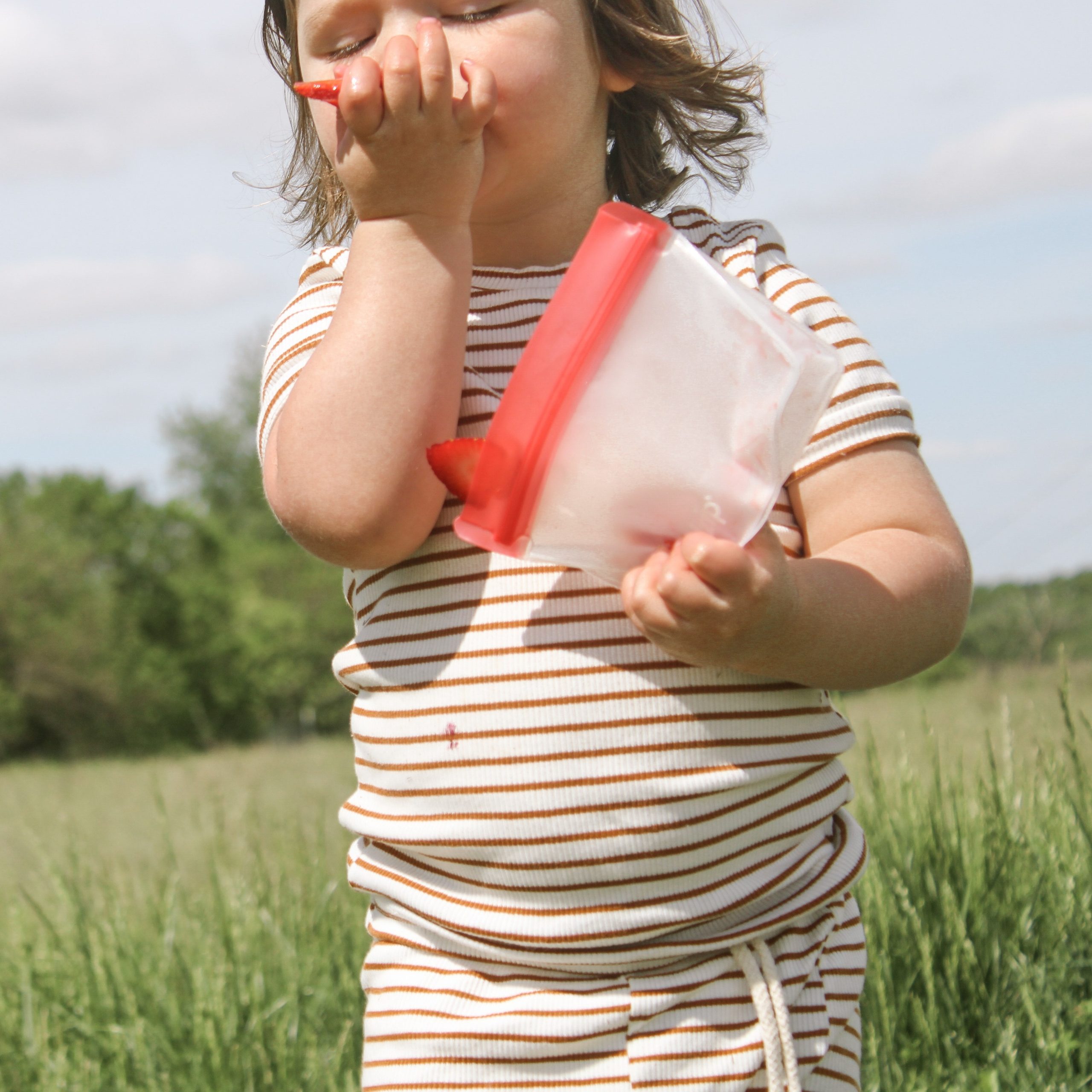 re_zip_ReusableLeakproofSnackStandUpBags_1Cup_5Pack_RTEBP_Lifestyle1.jpg