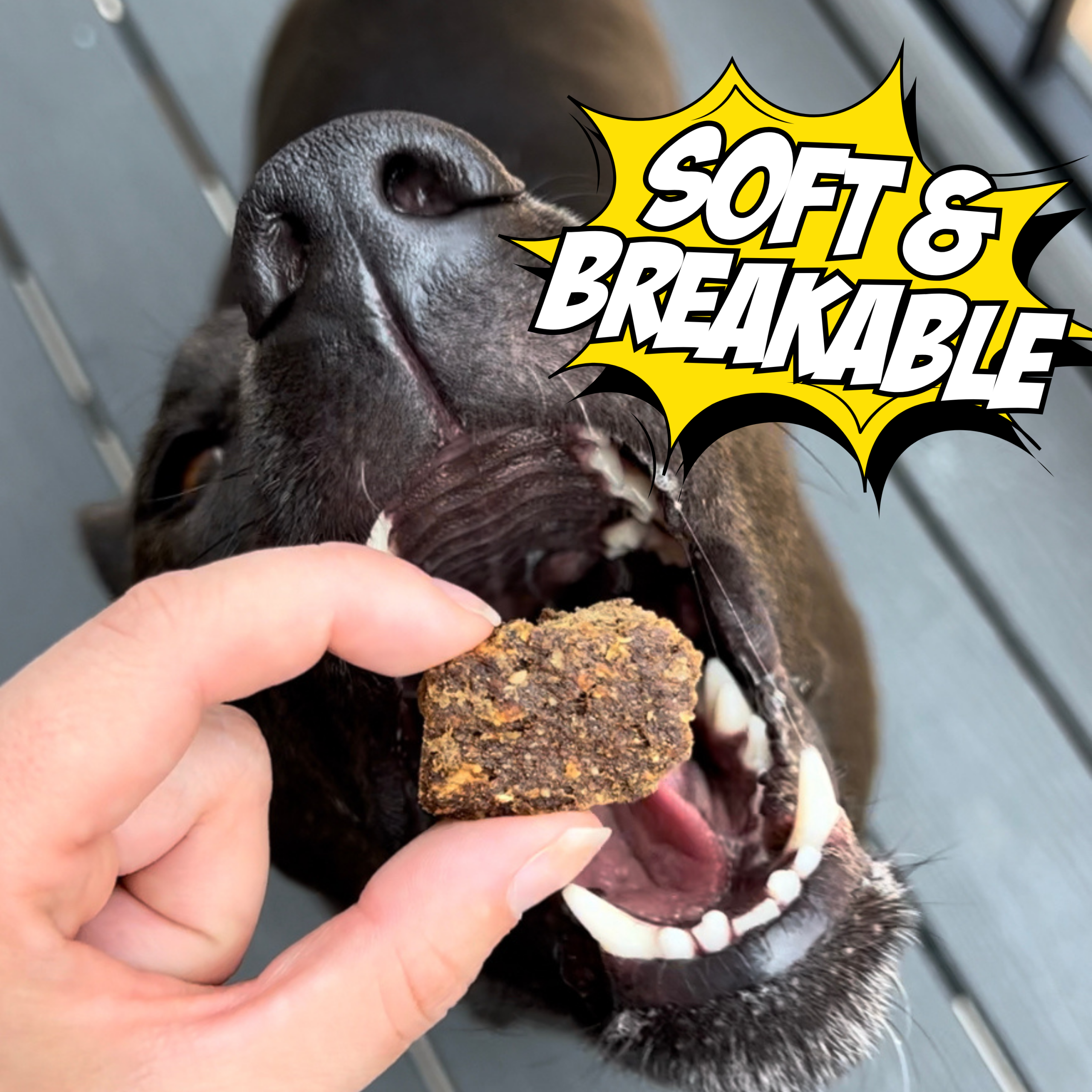 santmeifggliyybixrob.png
