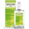 Citrus 24h Deodorant Spray